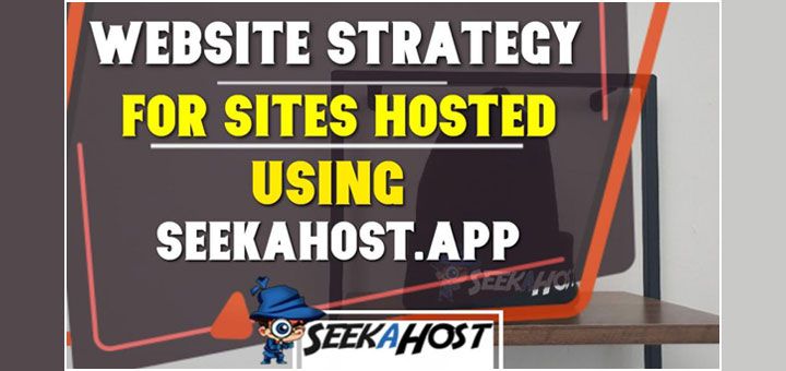 How to build a successful Website Strategy for your Online Business – Expert Tips by SeekaHost & ClickDo CEO Fernando Raymond